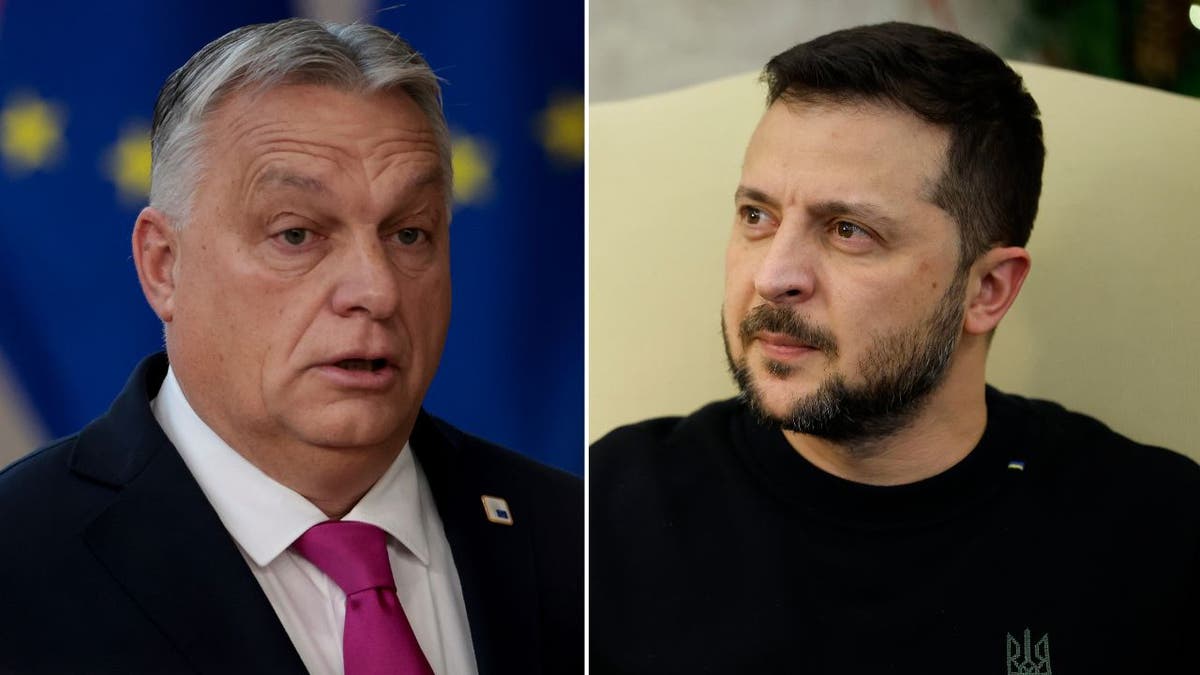 A collage of Hungarian Prime Minister Viktor Orban, left, and Ukrainian President Volodymyr Zelenskyy, right.