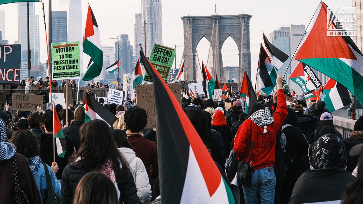 Hundreds of pro-Palestine protestors march across the Brooklyn Bridge in New York City