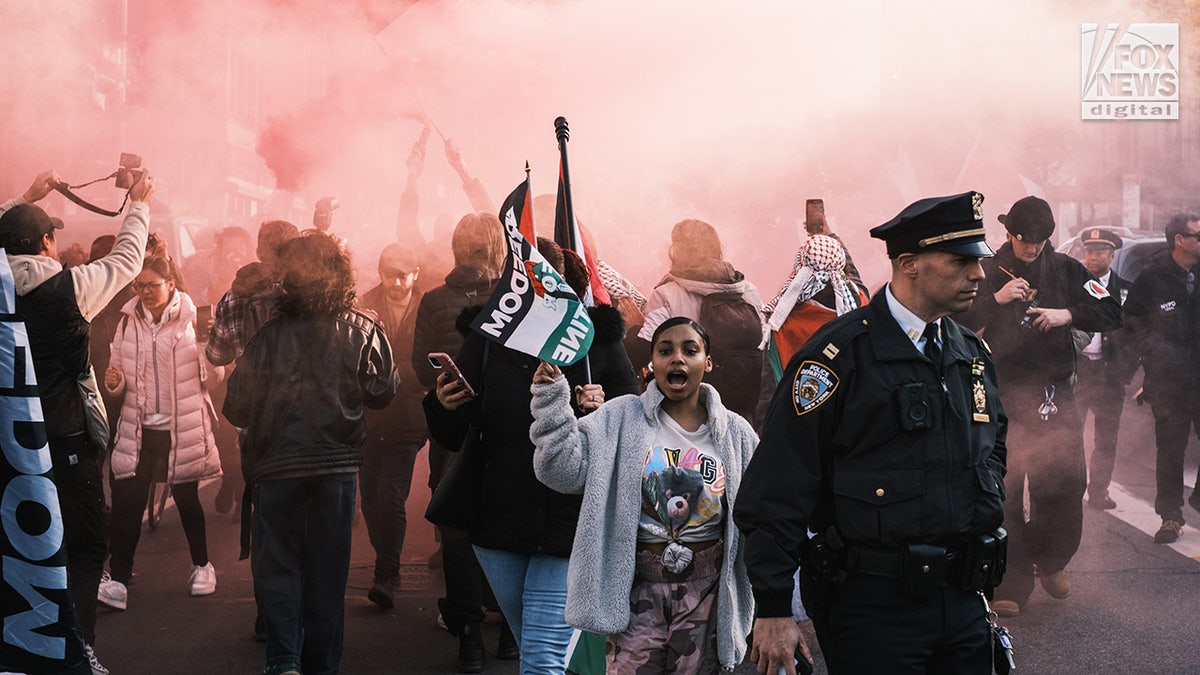 Hundreds of pro-Palestine protestors gather at the Brooklyn Museum in New York City