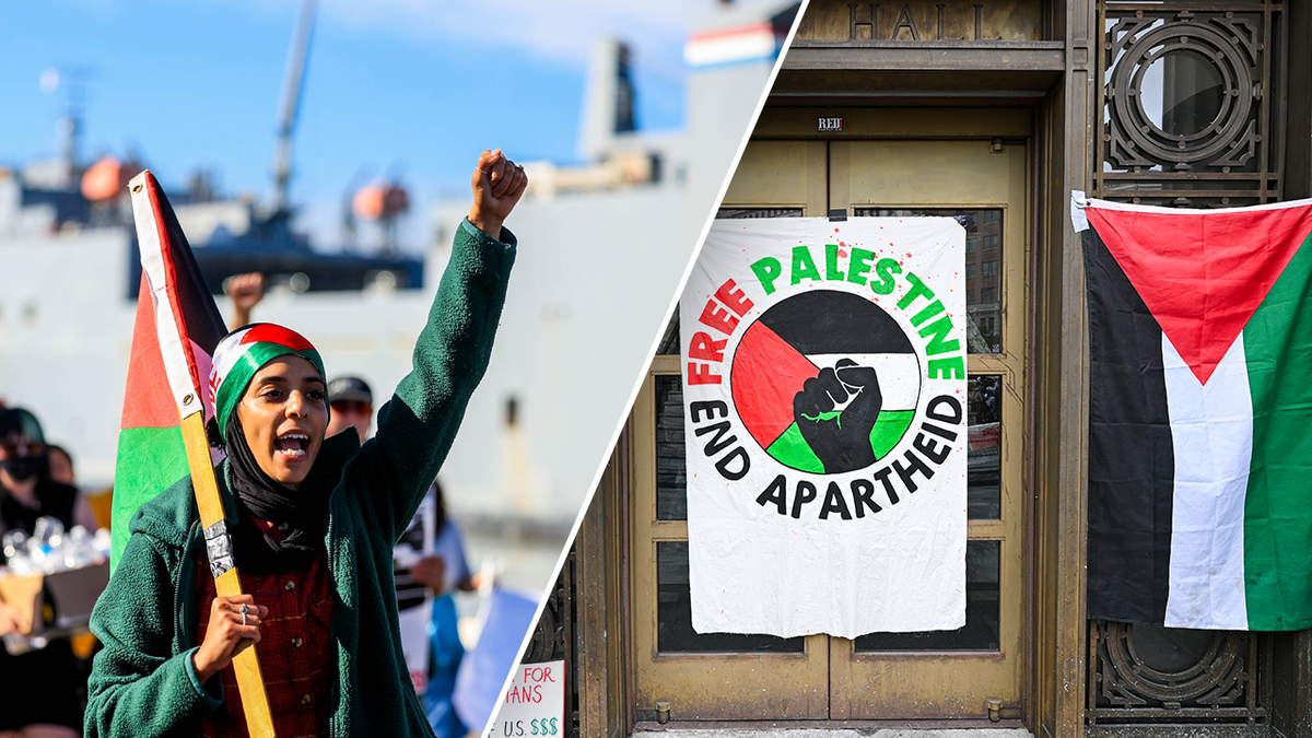 Free Palestine protest