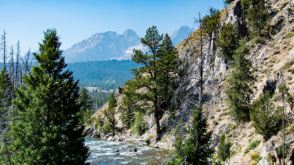 Scenic view of Salmon River and Sawtooth Mountains, trees 