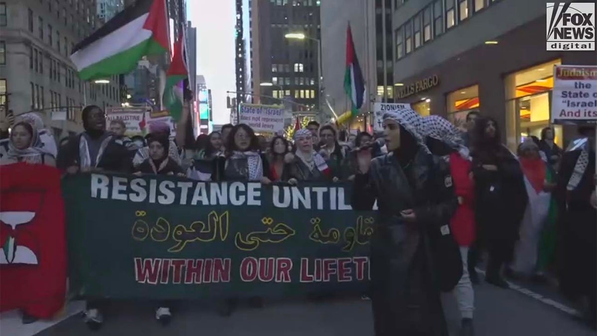 NYC pro-Palestinian protesters