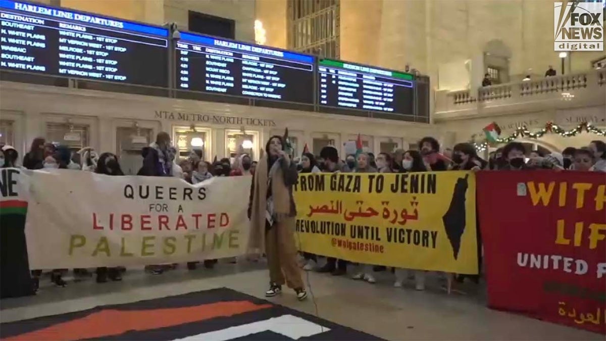 Pro-Palestinian protestors Grand Central