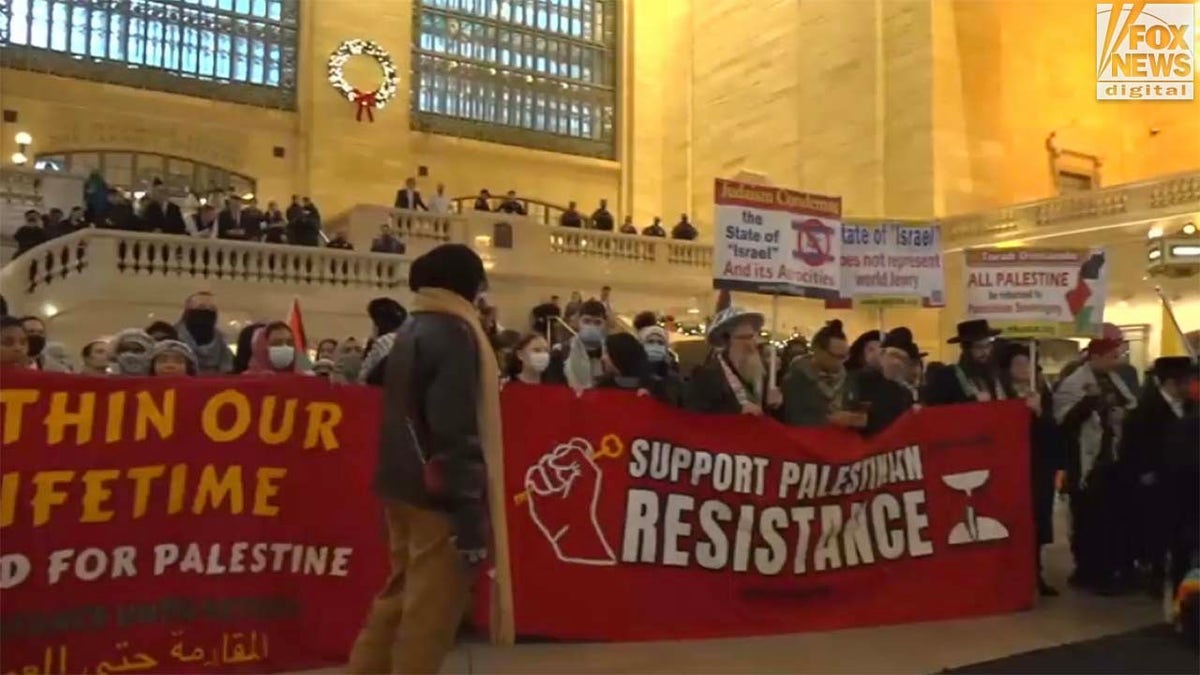 Pro-Palestinian protestors Grand Central