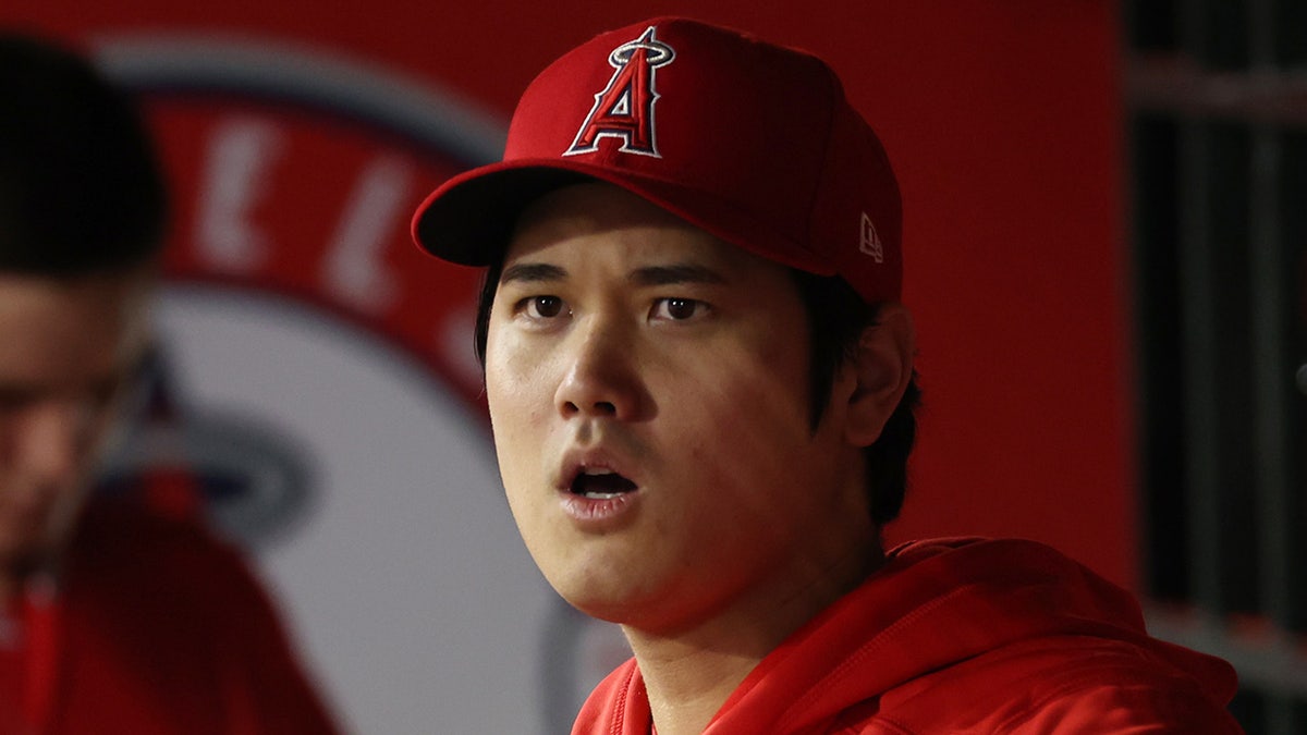 Shohei ohtani in the dugout