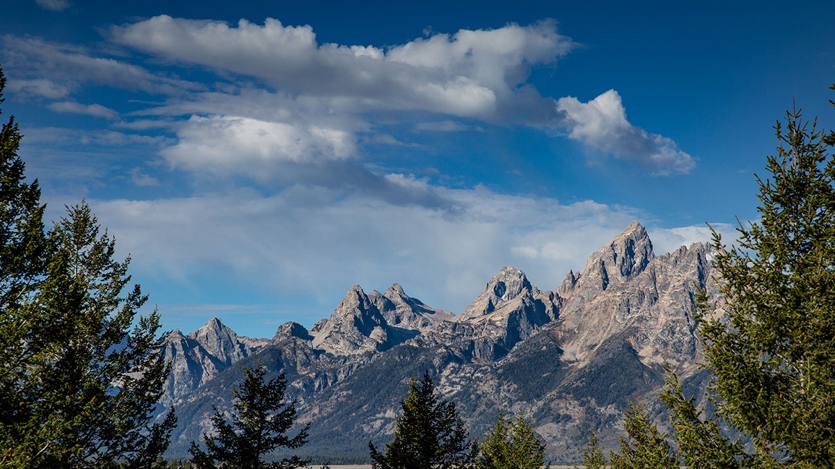 Scenic overlook of Grand Teton Mountain Range from Snake River- mountains, blue sky, trees 