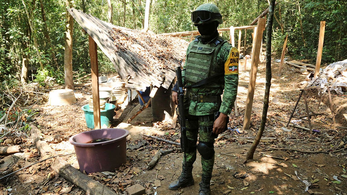 Mexico’s army faces criticism as data reveals majority of drug raids ...