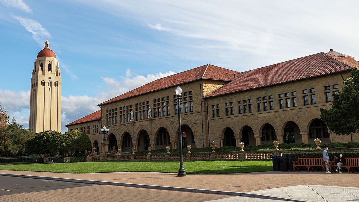 Stanford Study Confirms Men And Women's Brains Function Differently ...