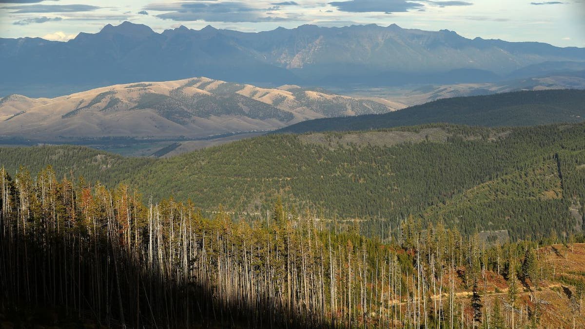 A picturesque view of Flathead Indian Reservation, Montana