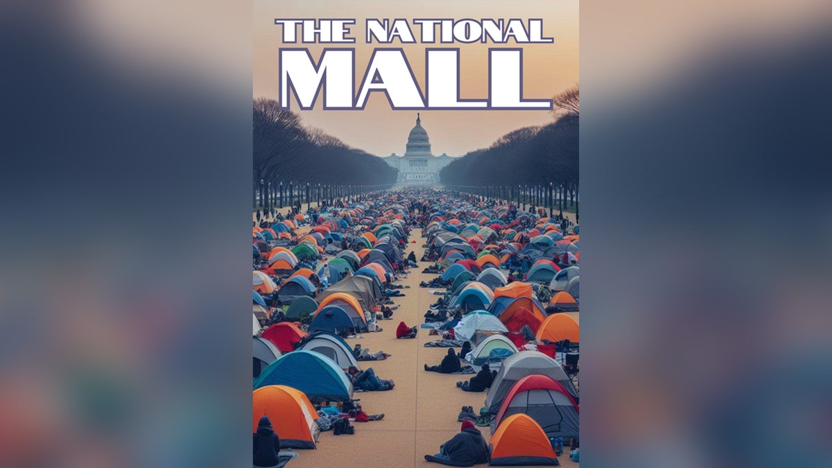 The National Mall Flyer