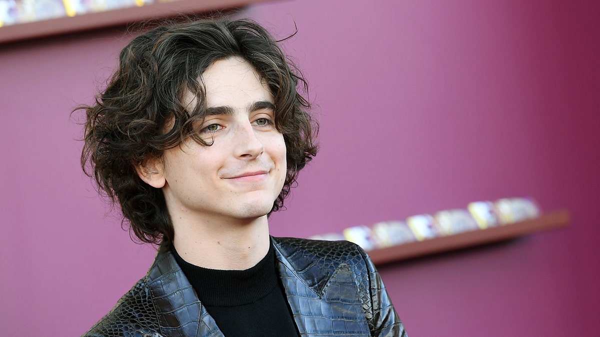 Close up of Timothee Chalamet