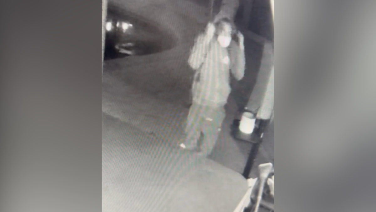 Los Angeles woman says intruder walked inside home with grandkids inside: 'I feel very violated' 2 Man seen on security camera walking around backyard