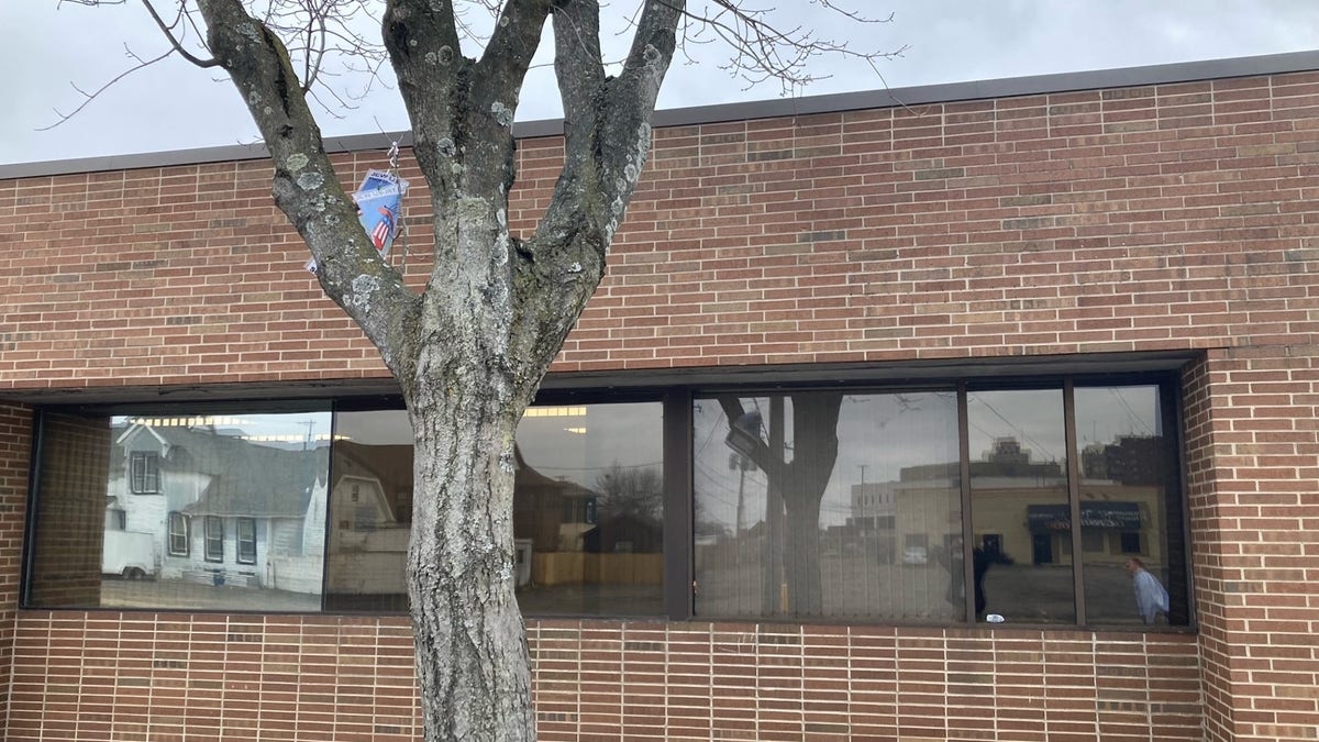 Tree outside congressman's office