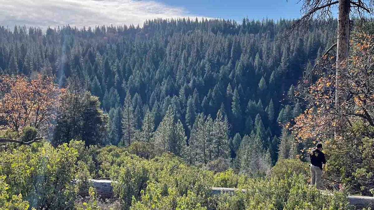 Mountain in Calaveras County