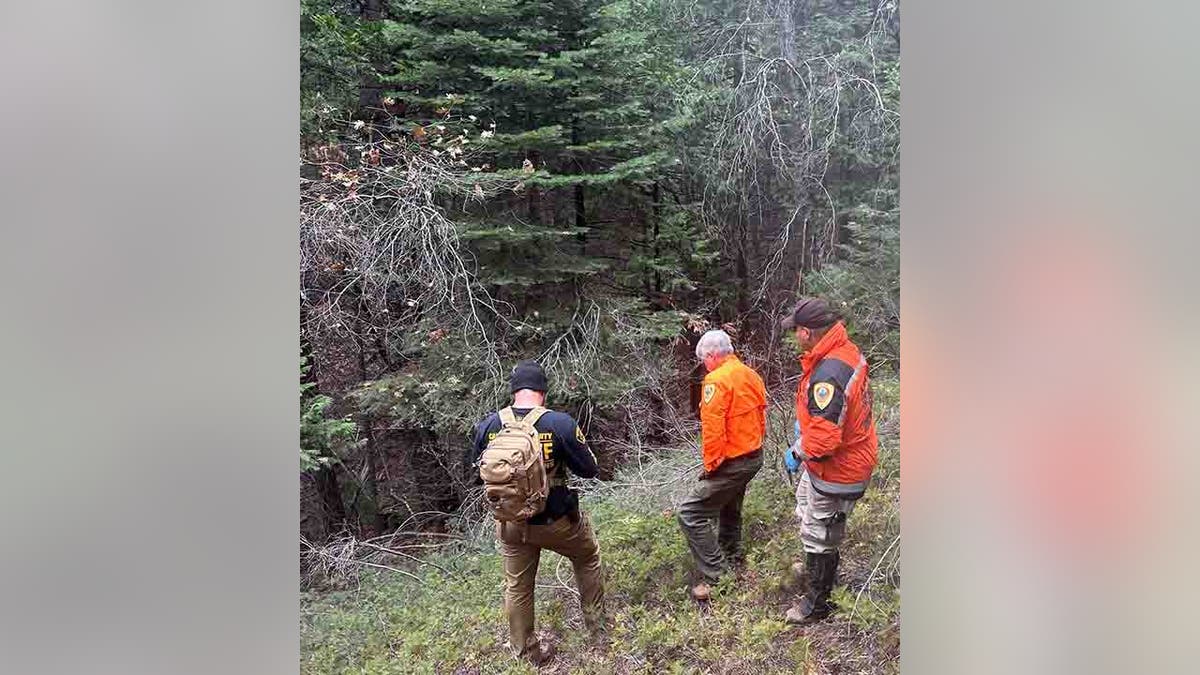 searchers looking down steep slop, dense foliage