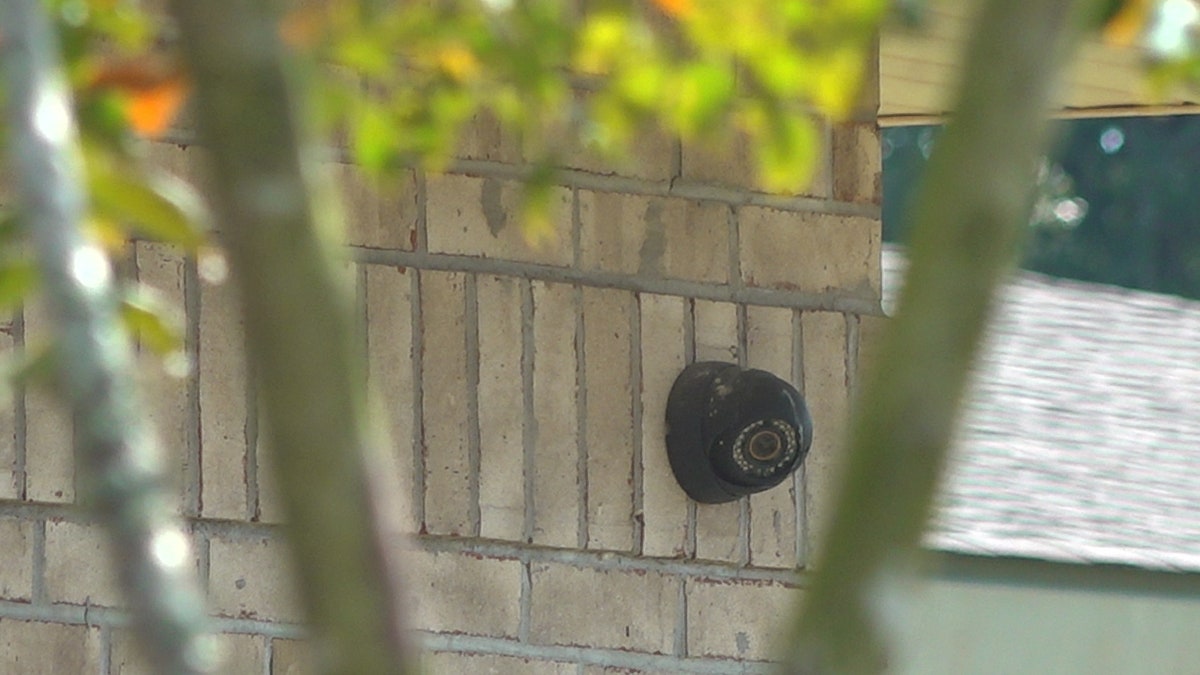 A camera is attached to a wall. A tree is in vision before the camera that points toward the school doors