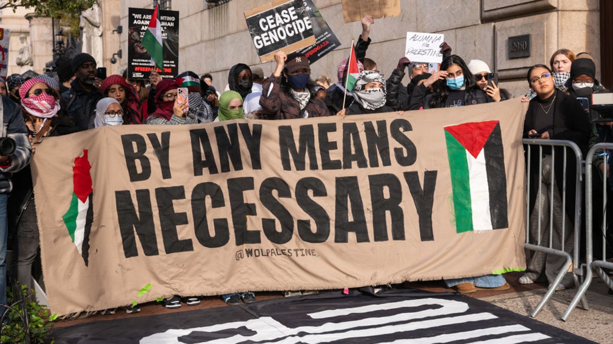 Anti-Israel rally in the U.S. 