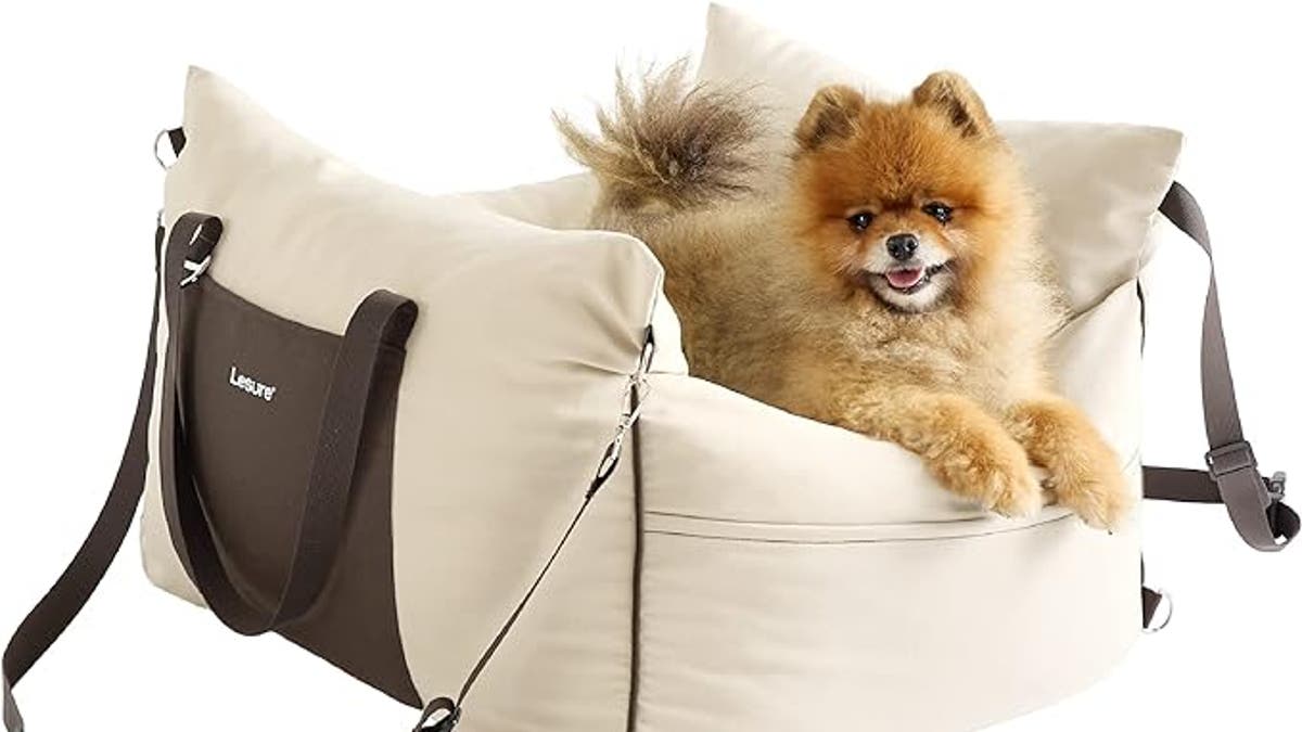 Leisure Small Dog Car Seat for Small Dogs