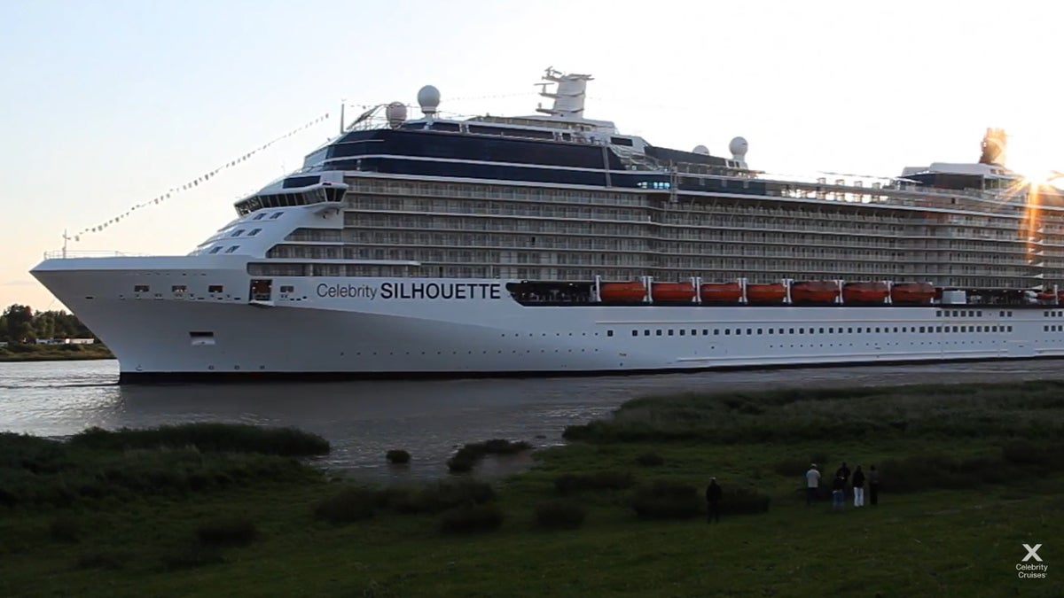 Picture of Celebrity Silhouette