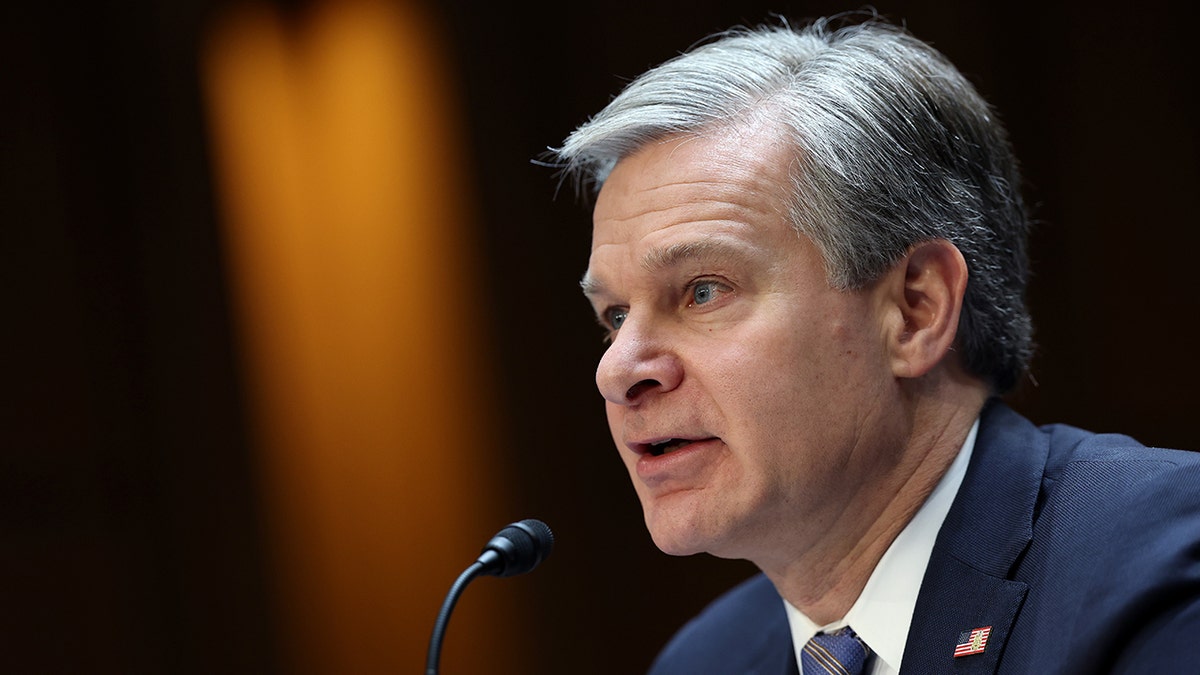 FBI Director Wray Appears In Senate Judiciary Hearing
