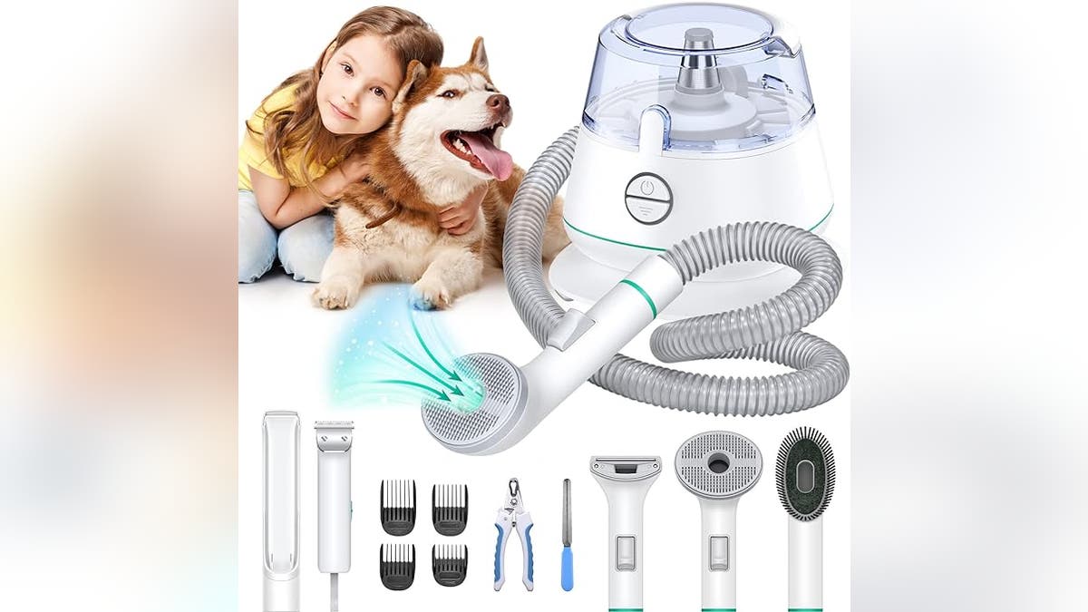 7-in-1 Pet Grooming Vacuum