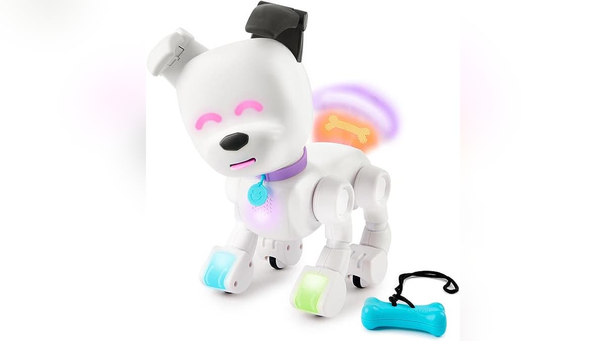 Dog-E Interactive Robot Dog