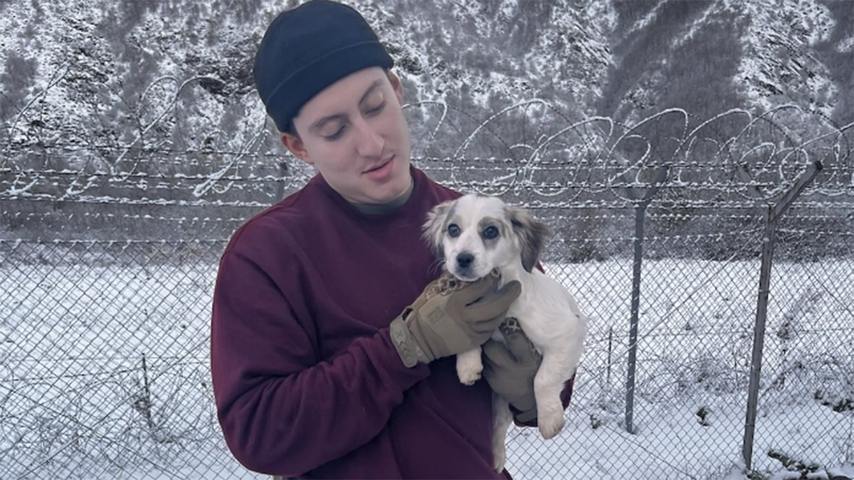 soldier and a puppy