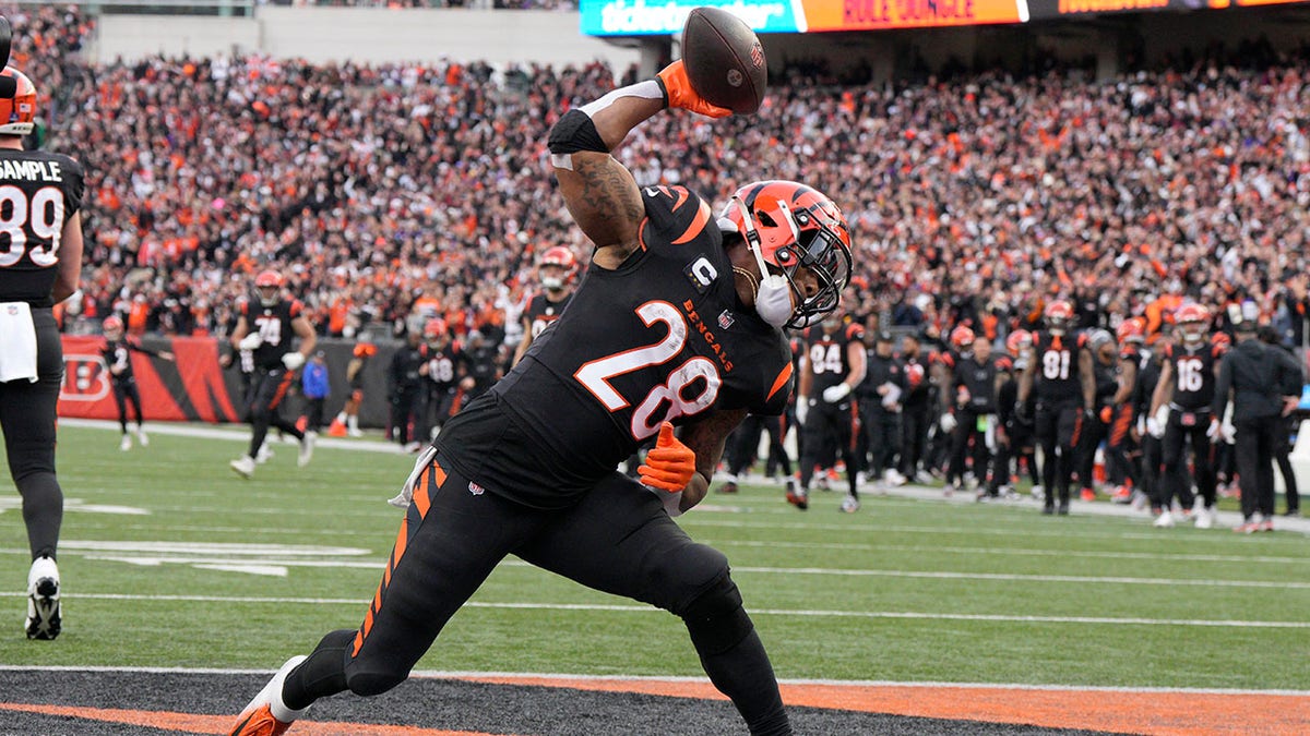 Joe Mixon spikes ball