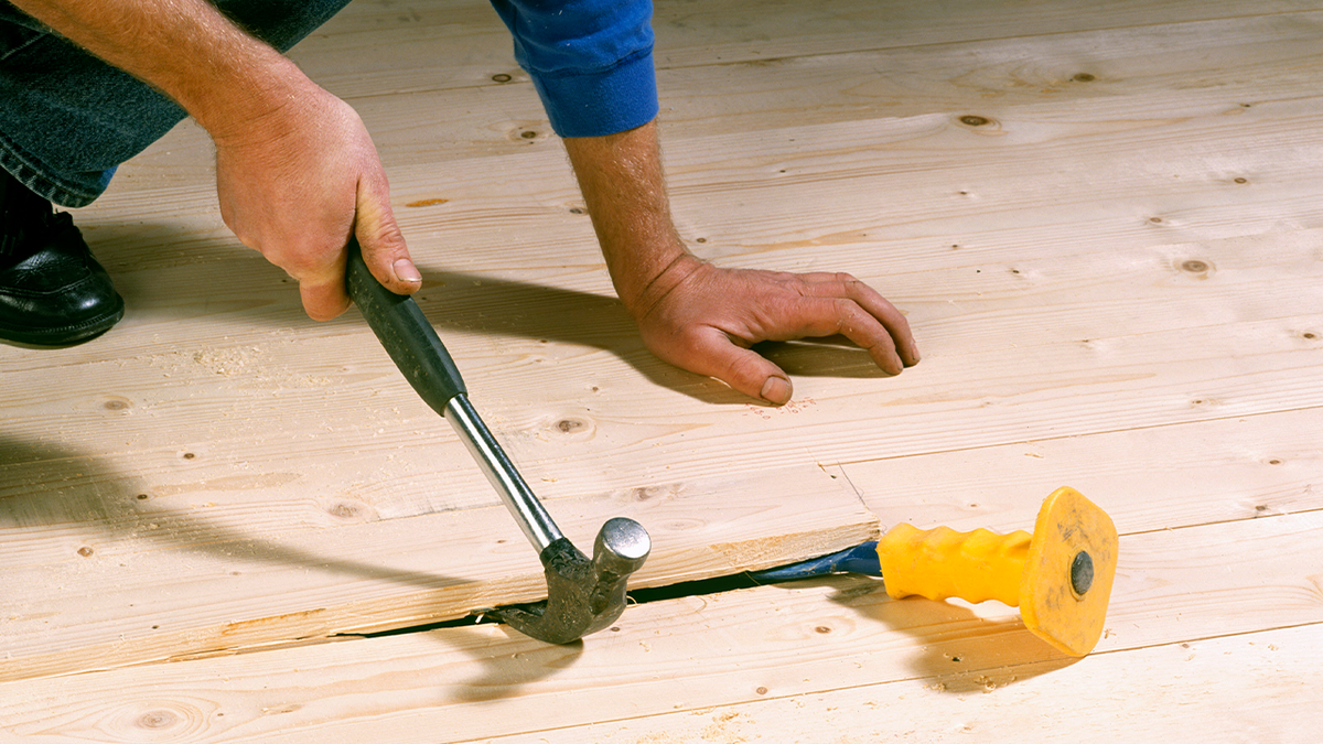Handyman pulling up floor boards