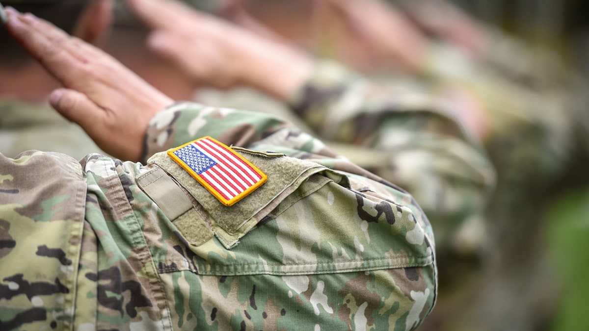 military vets saluting
