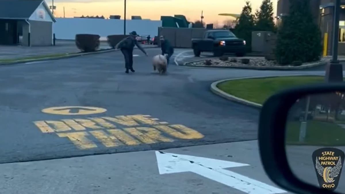 State trooper and pig's owner with pig