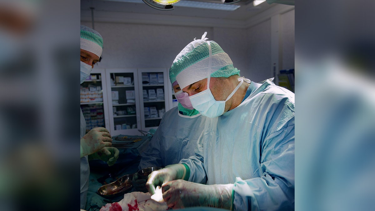 Paolo Macchiarini during a surgical procedure
