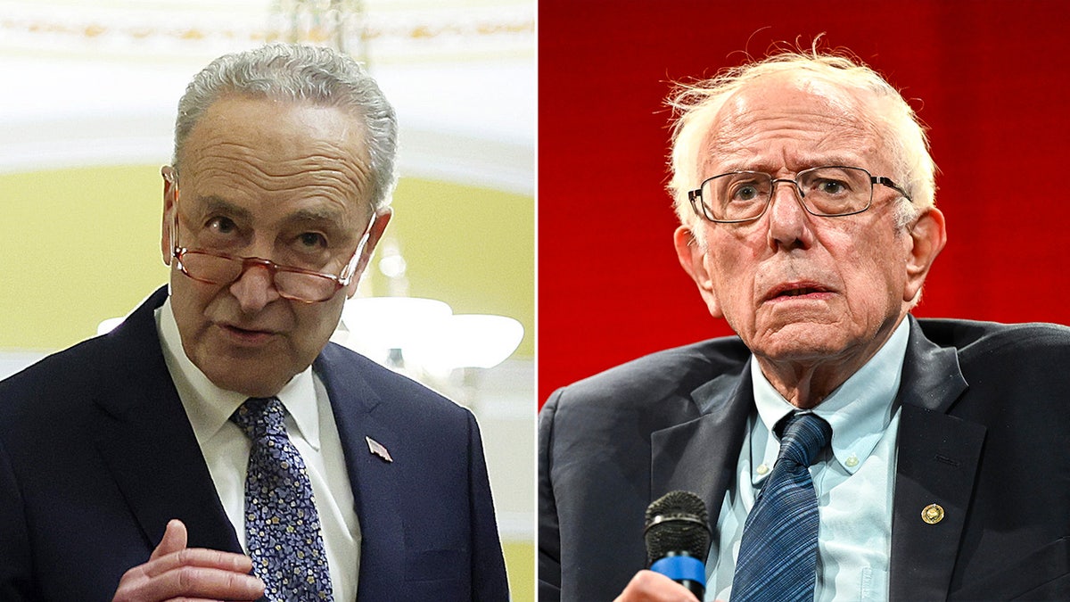 Chuck Schumer, Bernie Sanders