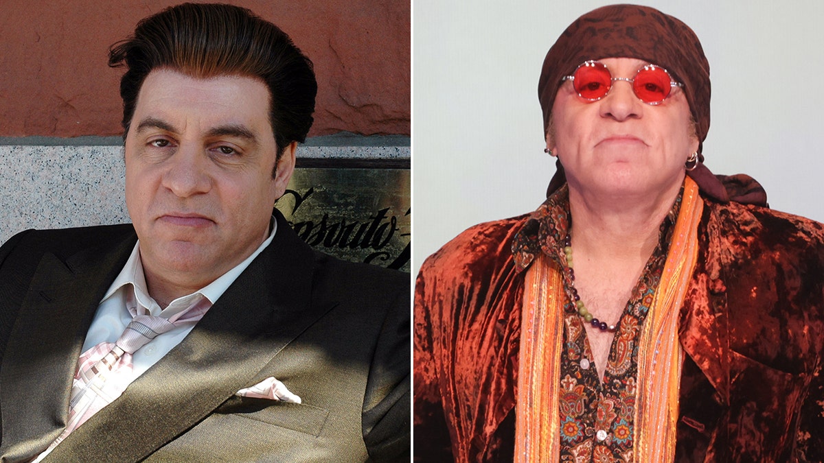 Steven Van Zandt then and now split