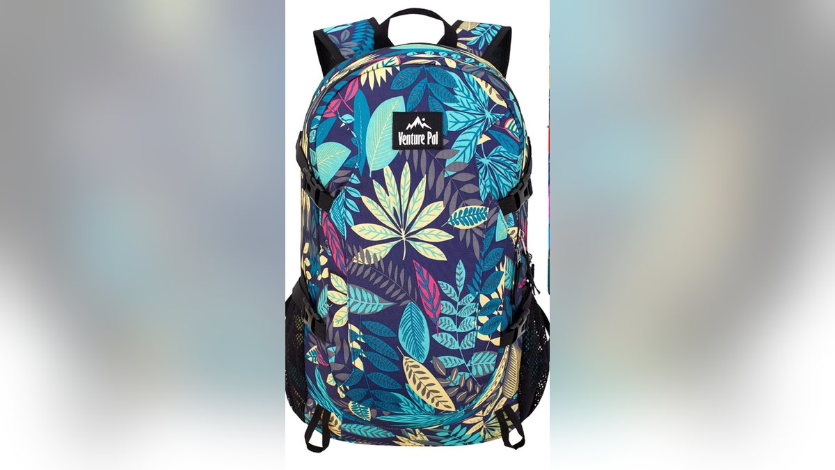 venture pal backpack
