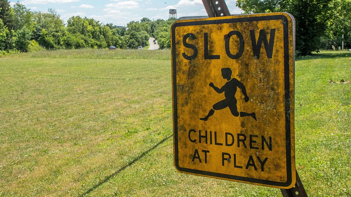 whiskey fungus growing on children-at-play sign