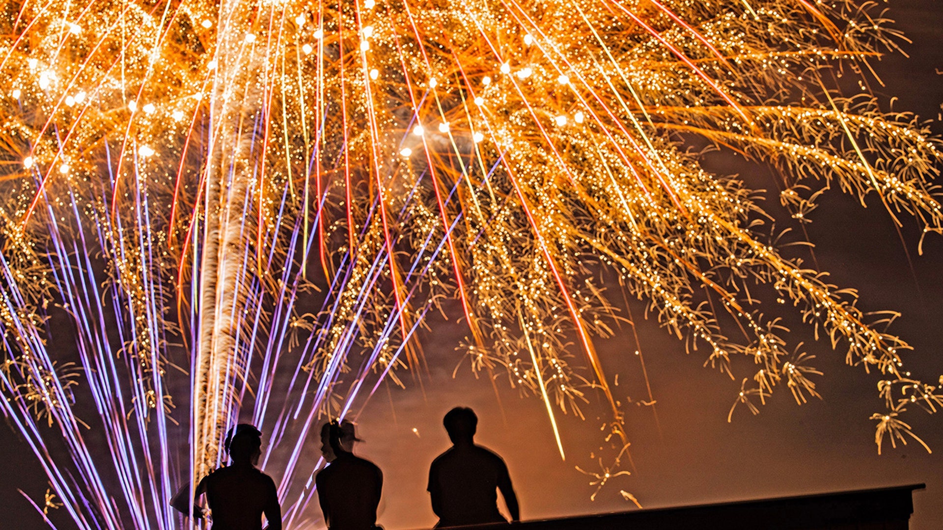 Visitors watch the fireworks during an Independence Day celebration