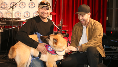 Singer Gavin DeGraw surprises US soldiers with rescue pets through Paws of War initiative