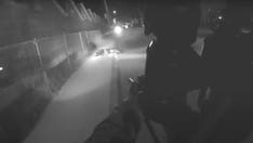 Slain Connecticut police dog receives state's first K9 Medal of Valor as troopers mourn 'fallen hero'