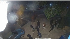 LA business owner slams Democrats after mob loots warehouse: 'Give me a reason to vote for you again'