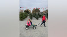 Biden administration takes aim at popular childcare program