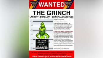 Using the Grinch in photos to make money could empty your piggy bank: experts