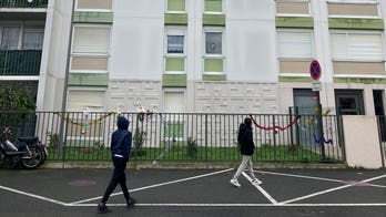'Absolute horror': 4 children, mother killed in Paris, father in custody