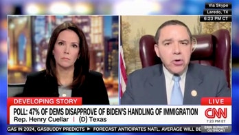 Democratic lawmaker rips Biden administration for ignoring border cities: 'President is not doing enough'