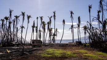 Hawaii Gov. Green proposes $425M recovery budget for Maui after devastating wildfires