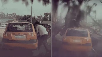 WATCH: Tree hit by lightning strike shatters into man's car, narrowly missing driver
