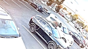 'Mr. Grinchmas' caught on camera stealing Christmas tree off California family's SUV