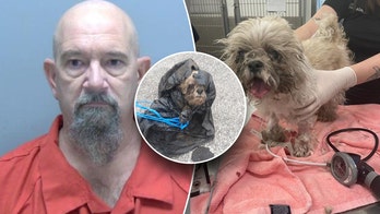 Shih Tzu rescued from dumpster after Florida man allegedly tied rope around her neck, stuffed in trash bag