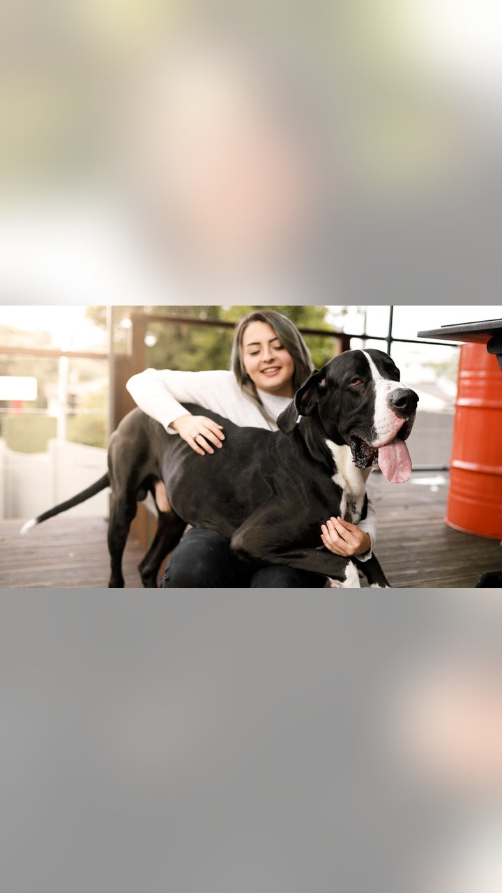 Anti Aging Pill for Dogs FDA: Breakthrough Benefits Revealed