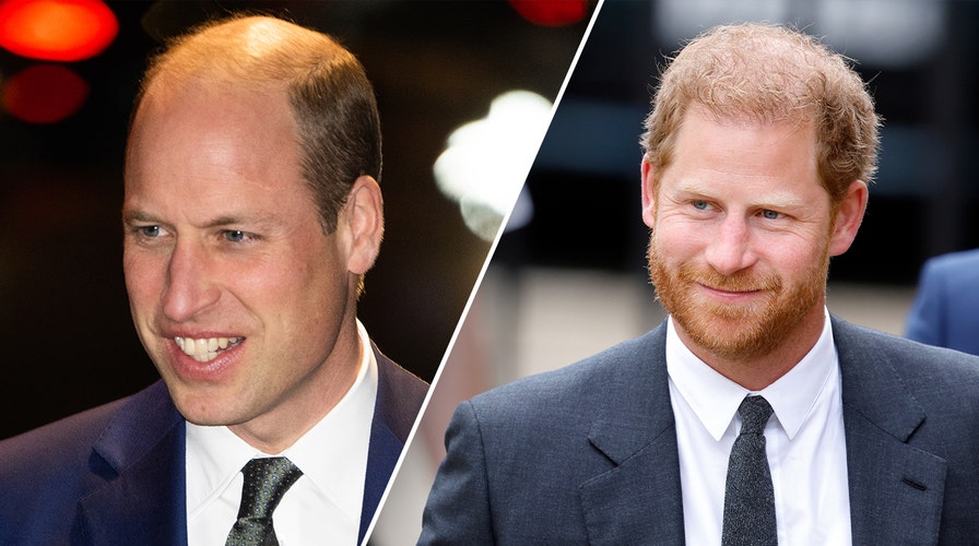 Nick Bolen says Prince William, Prince Harry made the 'right decision' not watching Princess Diana's death on 'The Crown'